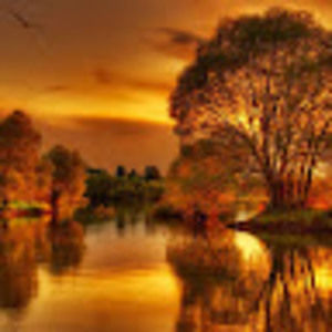 Meet your Posher, Joe